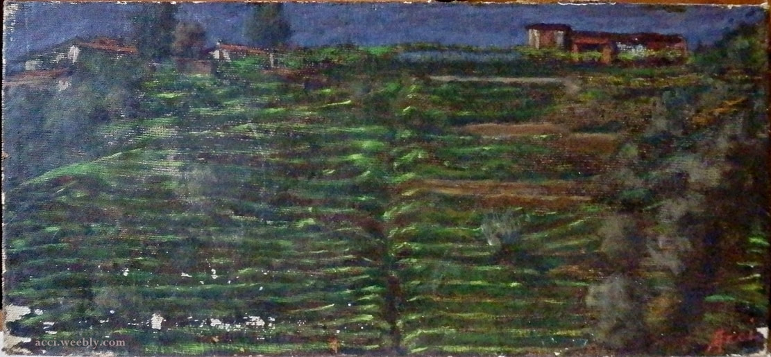 Giovanni Acci, studio per Balze, 1960, olio su tavoletta.