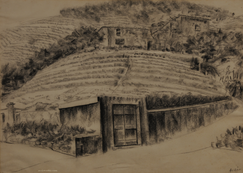 Giovanni Acci, Fibbialla, 1960, matita e carboncino su carta Fabriano cm. 50 x 70.Collezione Lodovico Gierut, Pietrasanta.